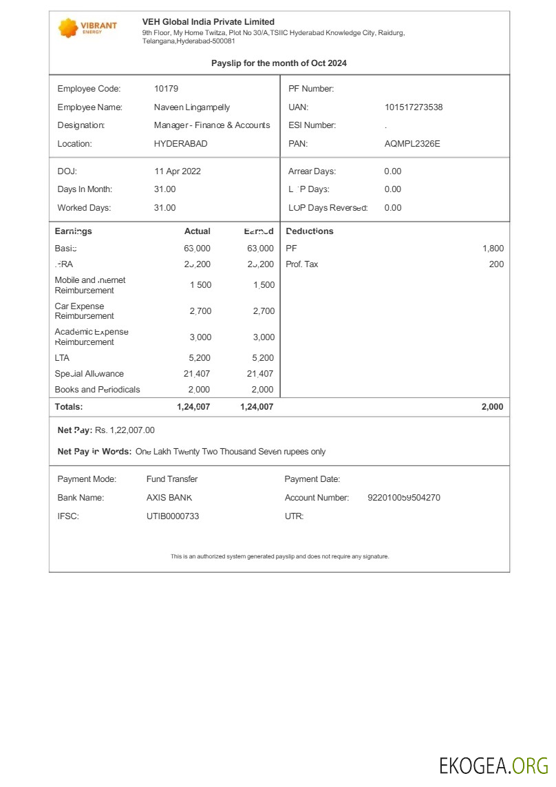 Modèle de fiche de paie Vibrant Energy VEH Global India aux formats Word et PDF.pdf, 1
